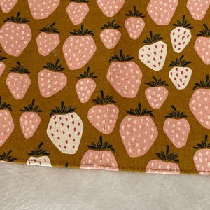 Pale Strawberries w/ Gray Leather